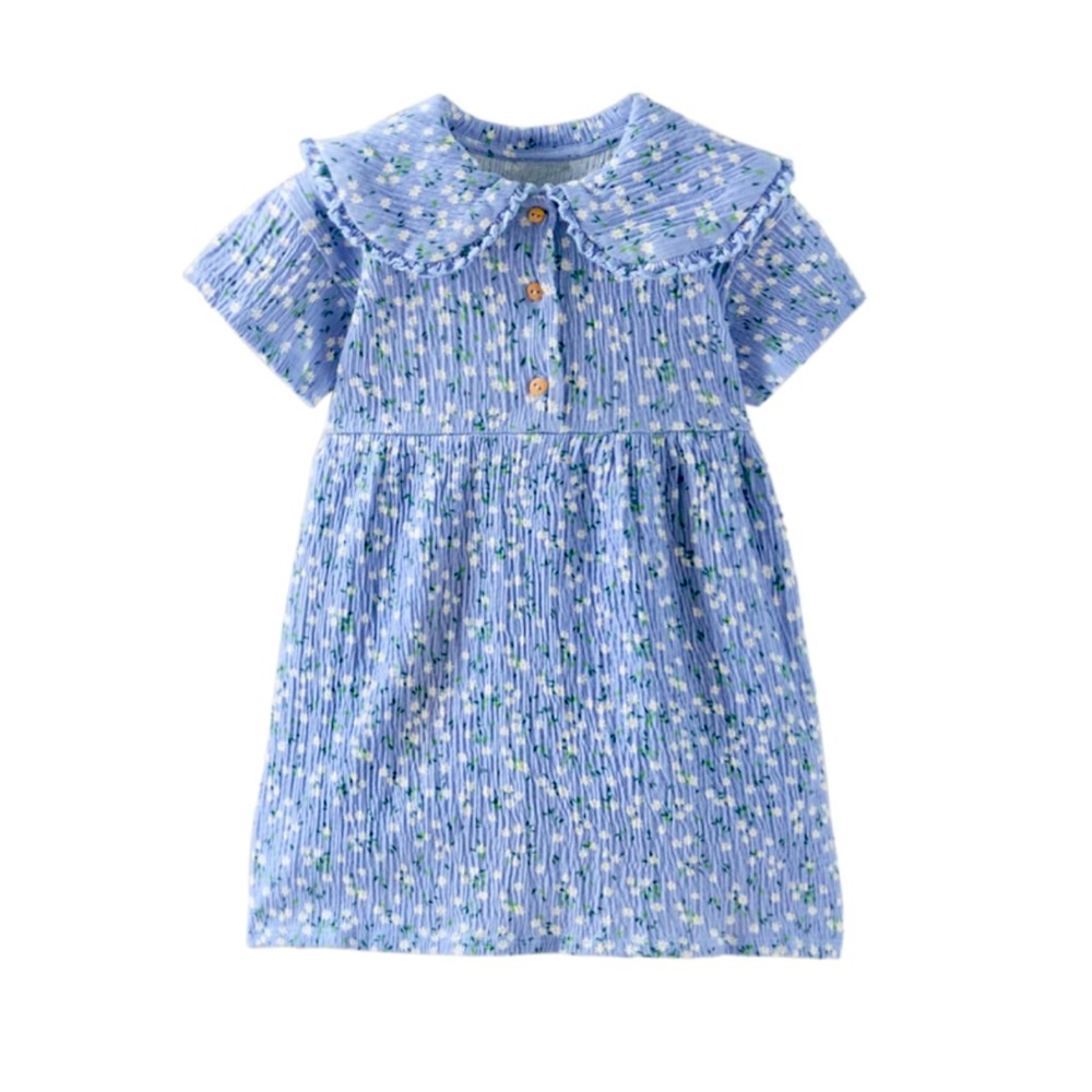 Zara toddler girl dress